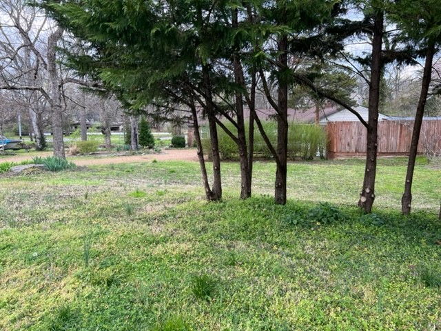 2876 Sugar Tree Road Nashville, TN 37215 - Photo 6 of 7 a view of a yard with a tree