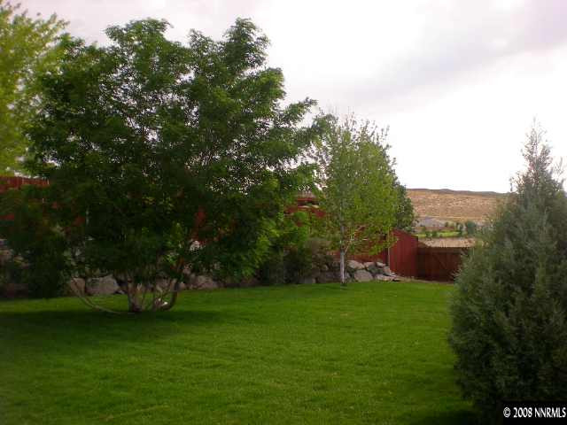 1318 Backer Way Reno, NV 89523 - Photo 3 of 6 a view of a garden with trees