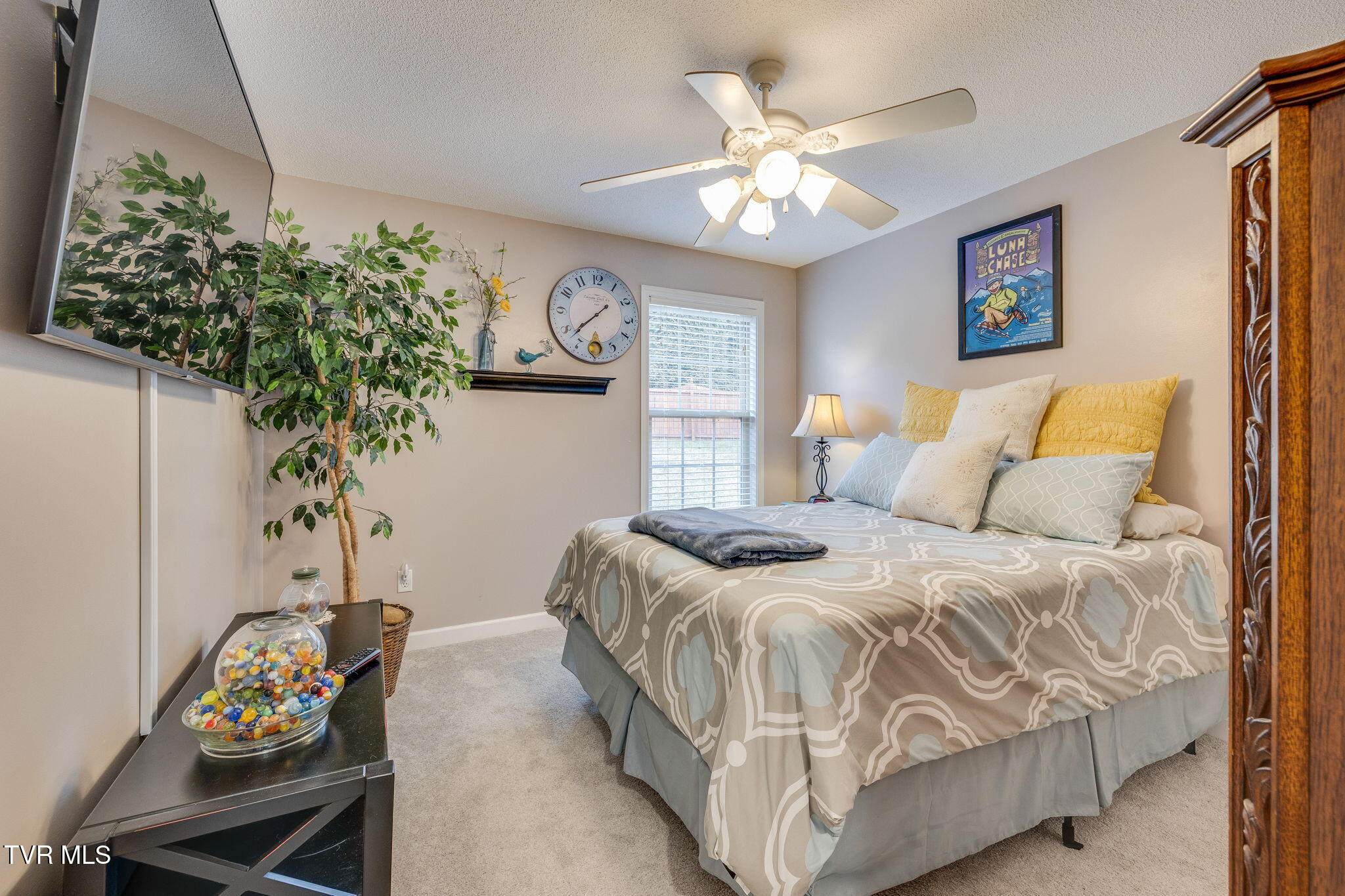 220 Haley Walk Bristol, TN 37620 - Photo 23 of 36 022