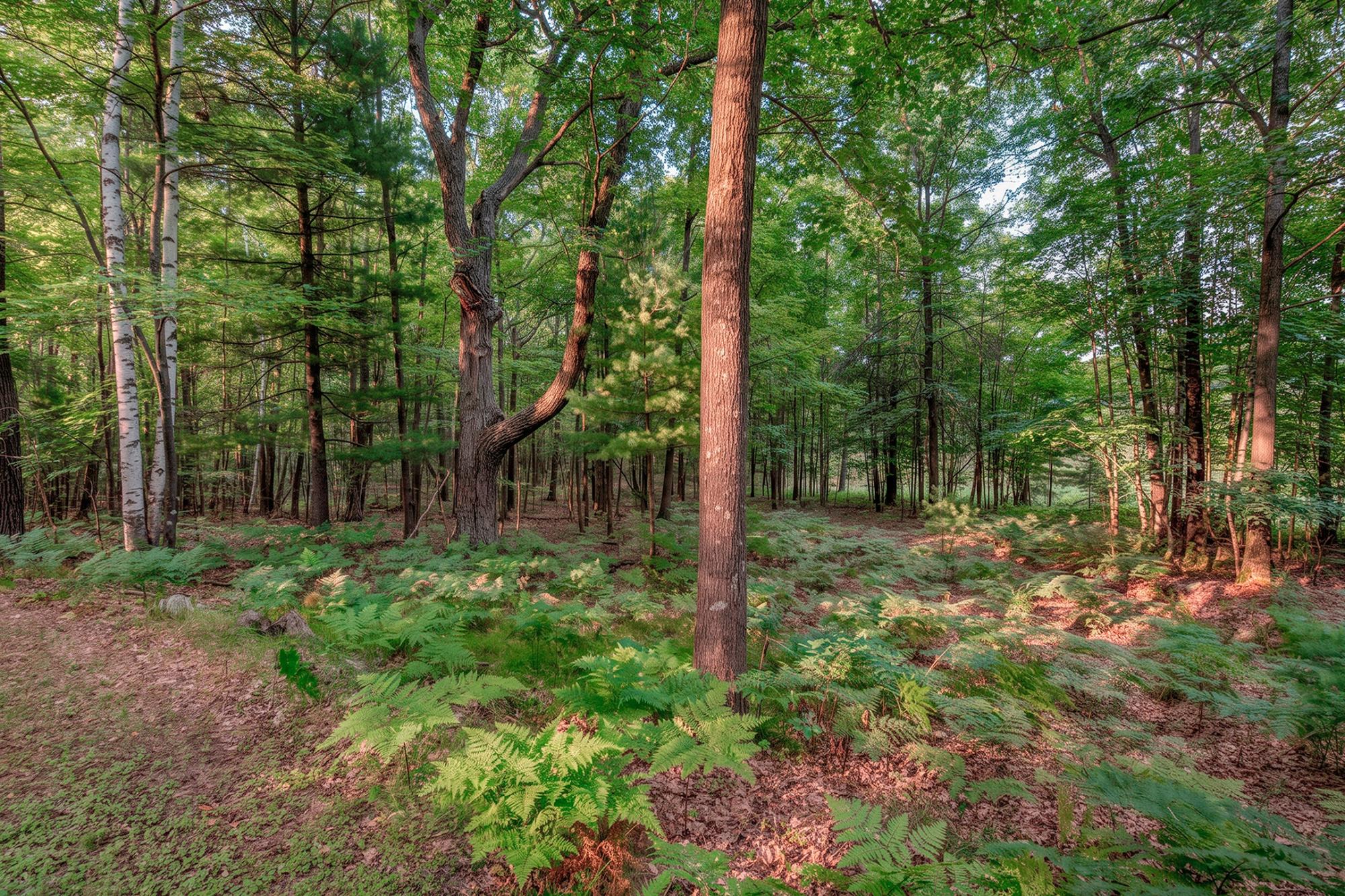 4010 Flannery Lake Road Rhinelander, WI 54501 - Photo 29 of 36 Gallery Image 29