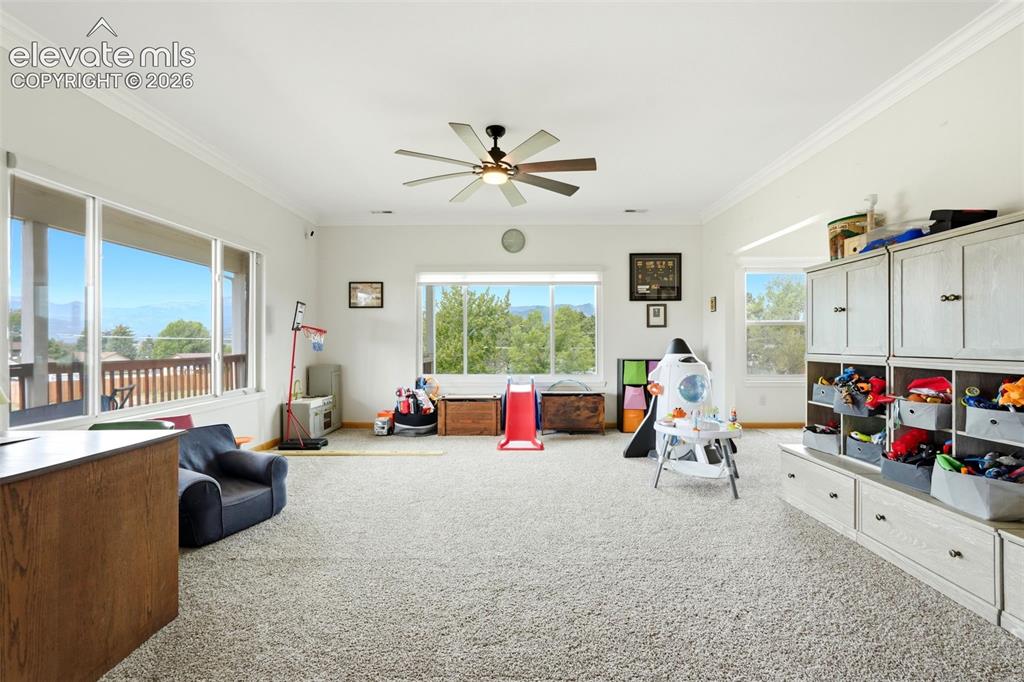 1912 Shrider Road Colorado Springs, CO 80920 - Photo 16 of 47