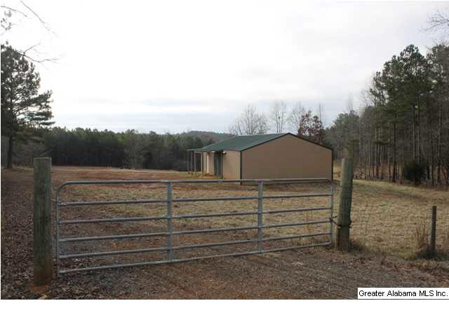 523 Pine Road, Unit 30 ACRES Daviston, AL 36256 - Photo 3 of 9