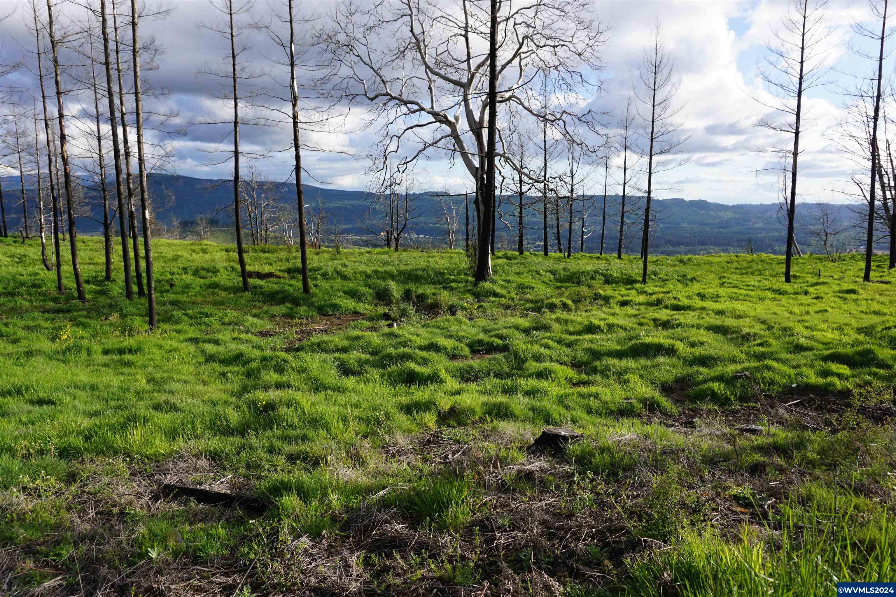 900 Wagner Road Lyons, OR 97358 - Photo 19 of 30
