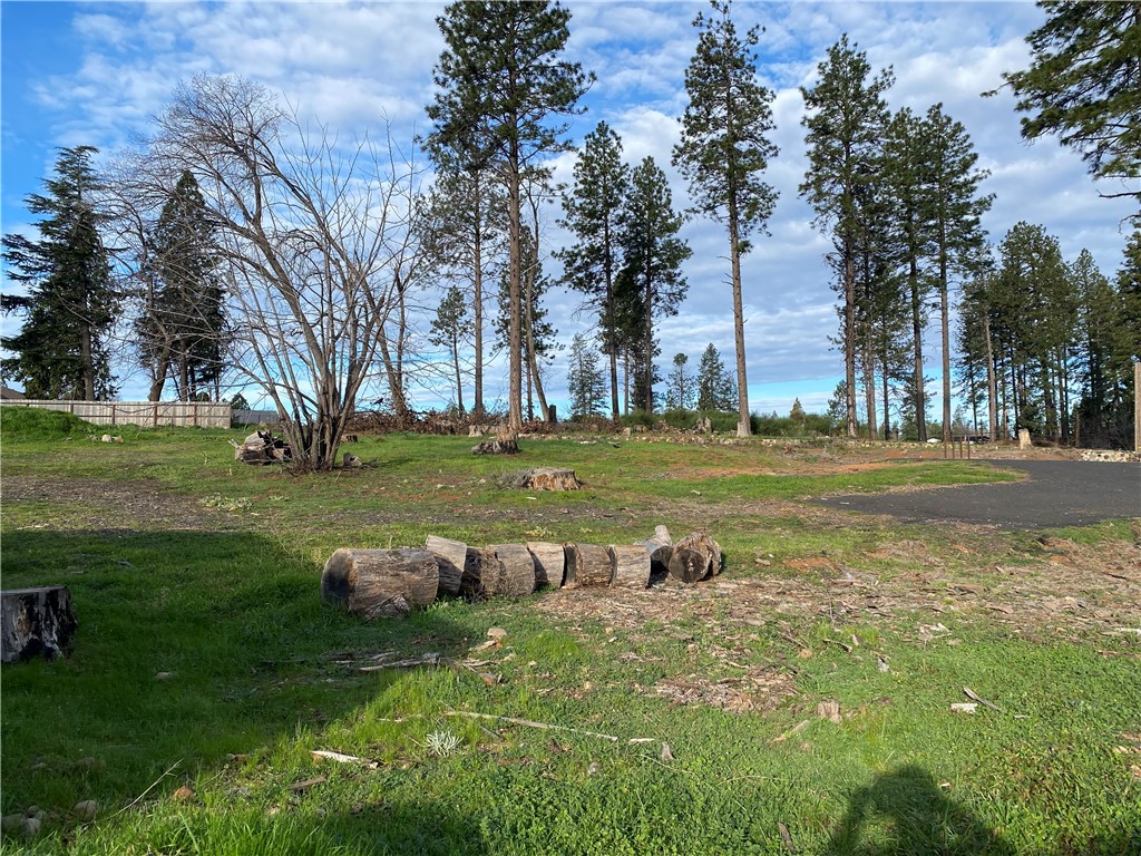 1642 Bille Road Paradise, CA 95969 - Photo 2 of 8 a view of a field with grass and trees