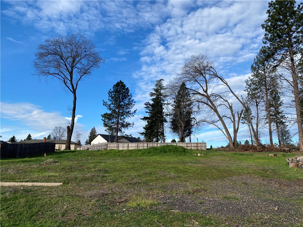 1642 Bille Road Paradise, CA 95969 - Photo 3 of 8 a backyard of a house with lots of green space