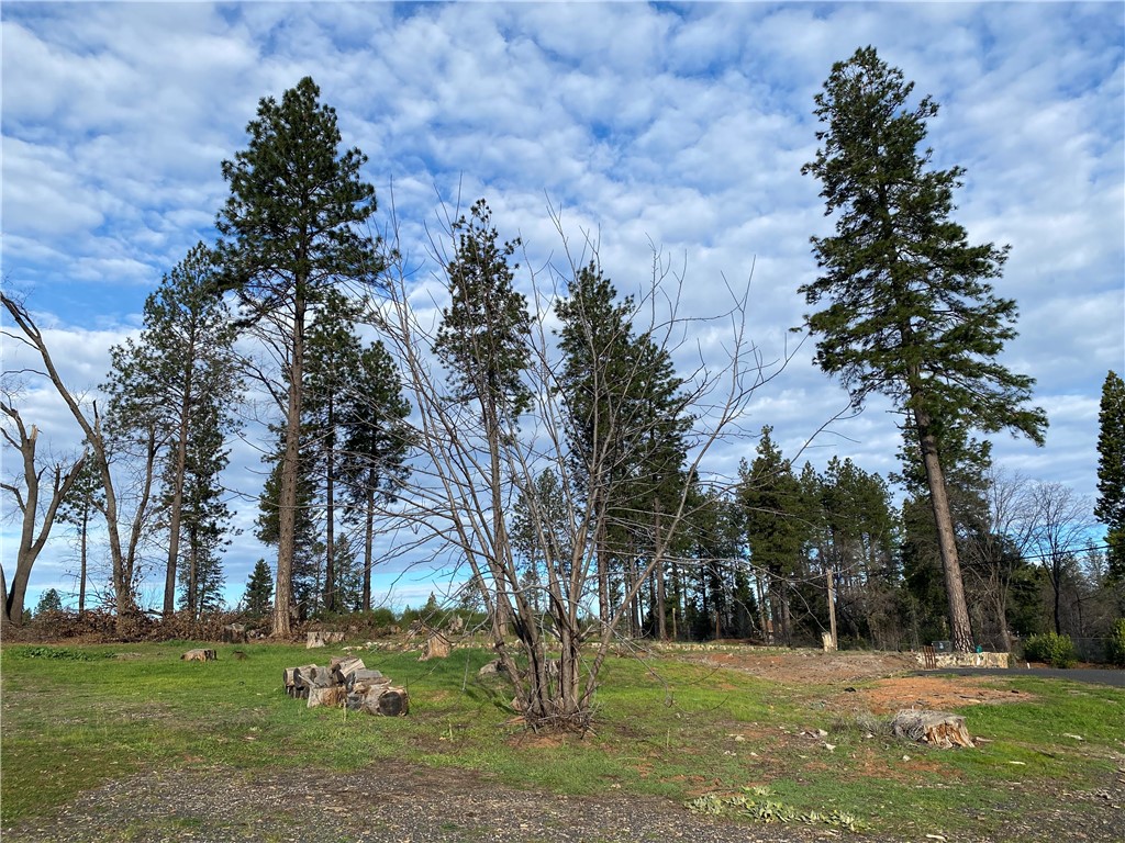 1642 Bille Road Paradise, CA 95969 - Photo 4 of 8 a backyard of a house with lots of green space