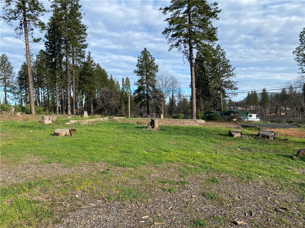 1642 Bille Road Paradise, CA 95969 - Photo 5 of 8 a park with lots of trees and plants