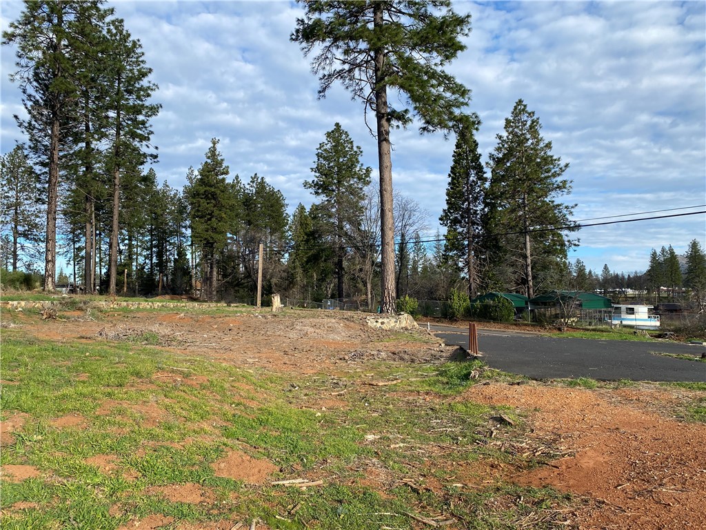 1642 Bille Road Paradise, CA 95969 - Photo 6 of 8 a view of road and trees