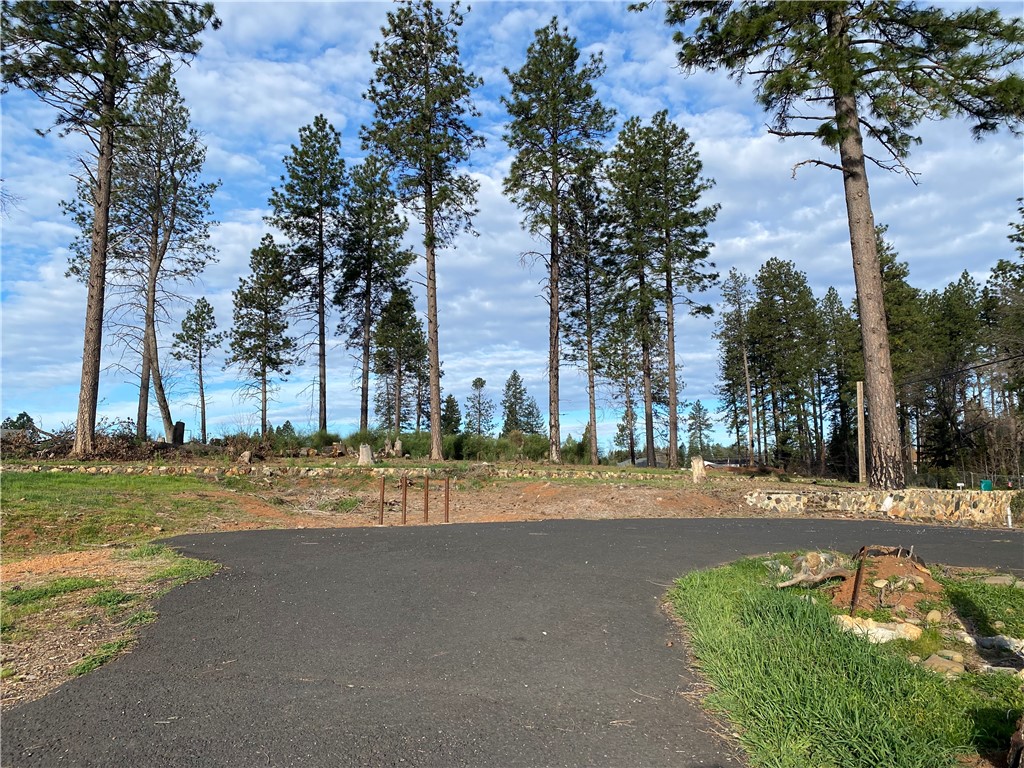 1642 Bille Road Paradise, CA 95969 - Photo 7 of 8 a view of road with large trees