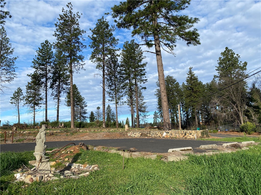 1642 Bille Road Paradise, CA 95969 - Photo 8 of 8 a view of street with large trees