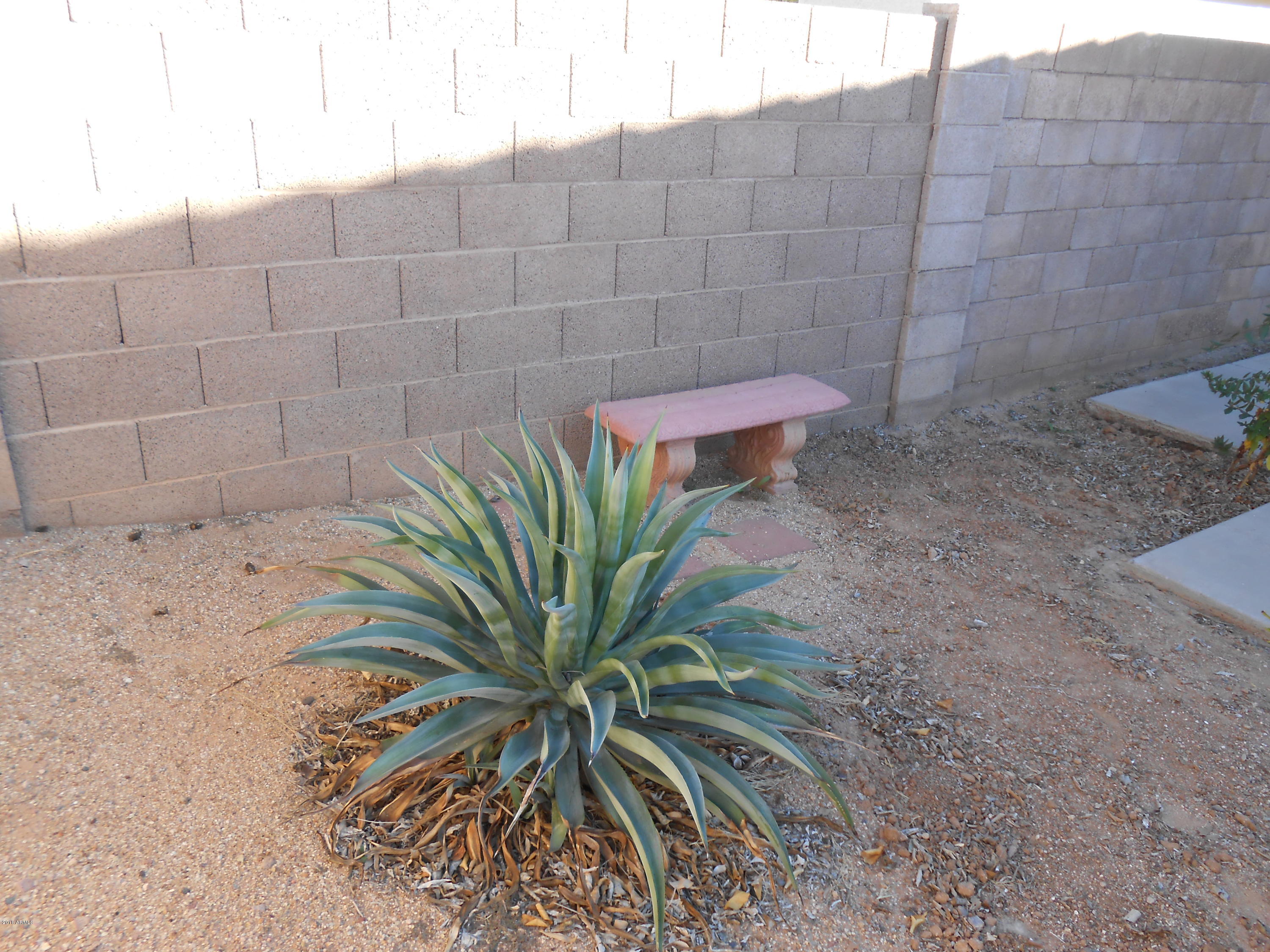 5058 Casper Road Mesa, AZ 85205 - Photo 20 of 24 DSCN1703