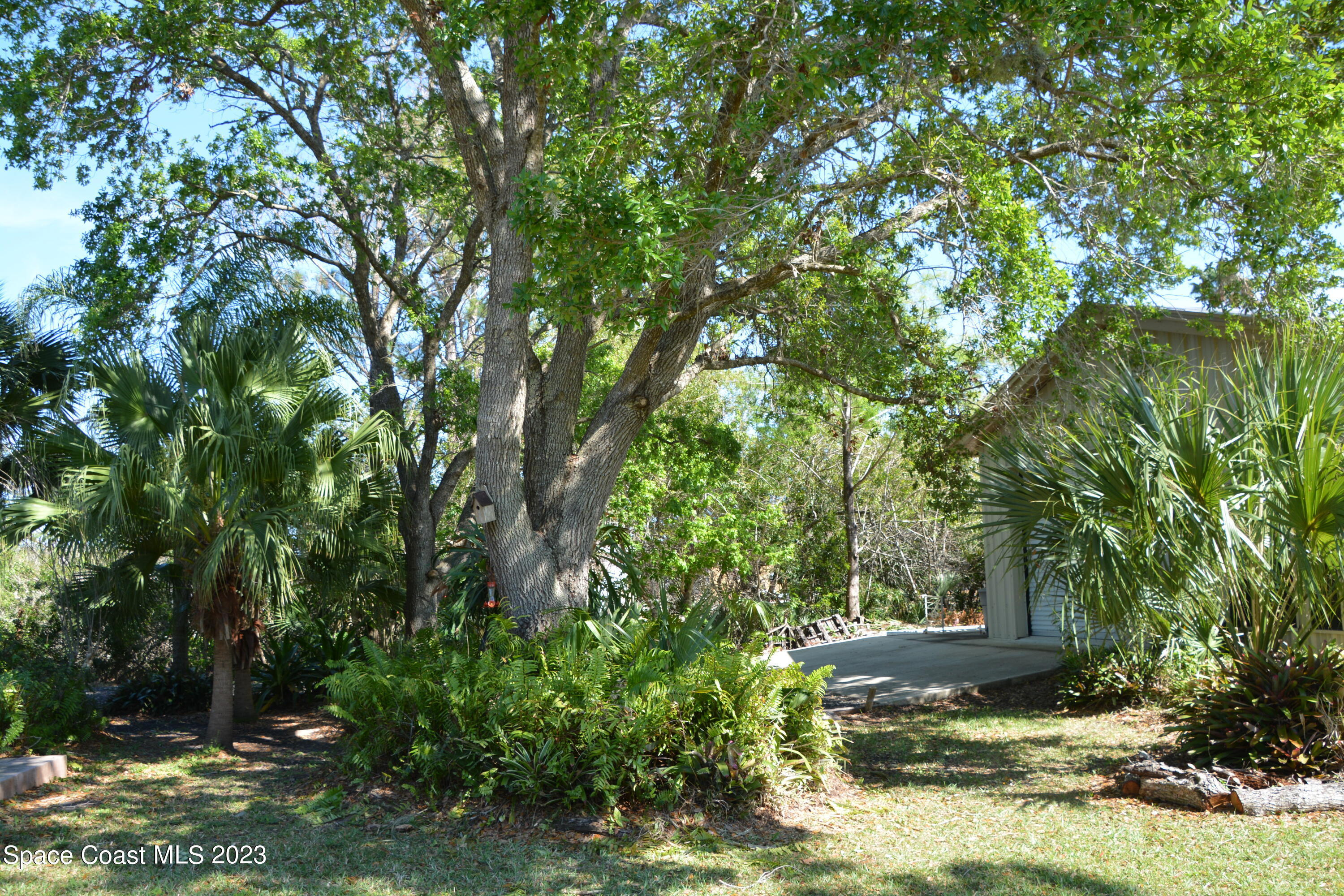 1045 Pine Island Road Merritt Island, FL 32953 - Photo 33 of 42 a view of a outdoor space