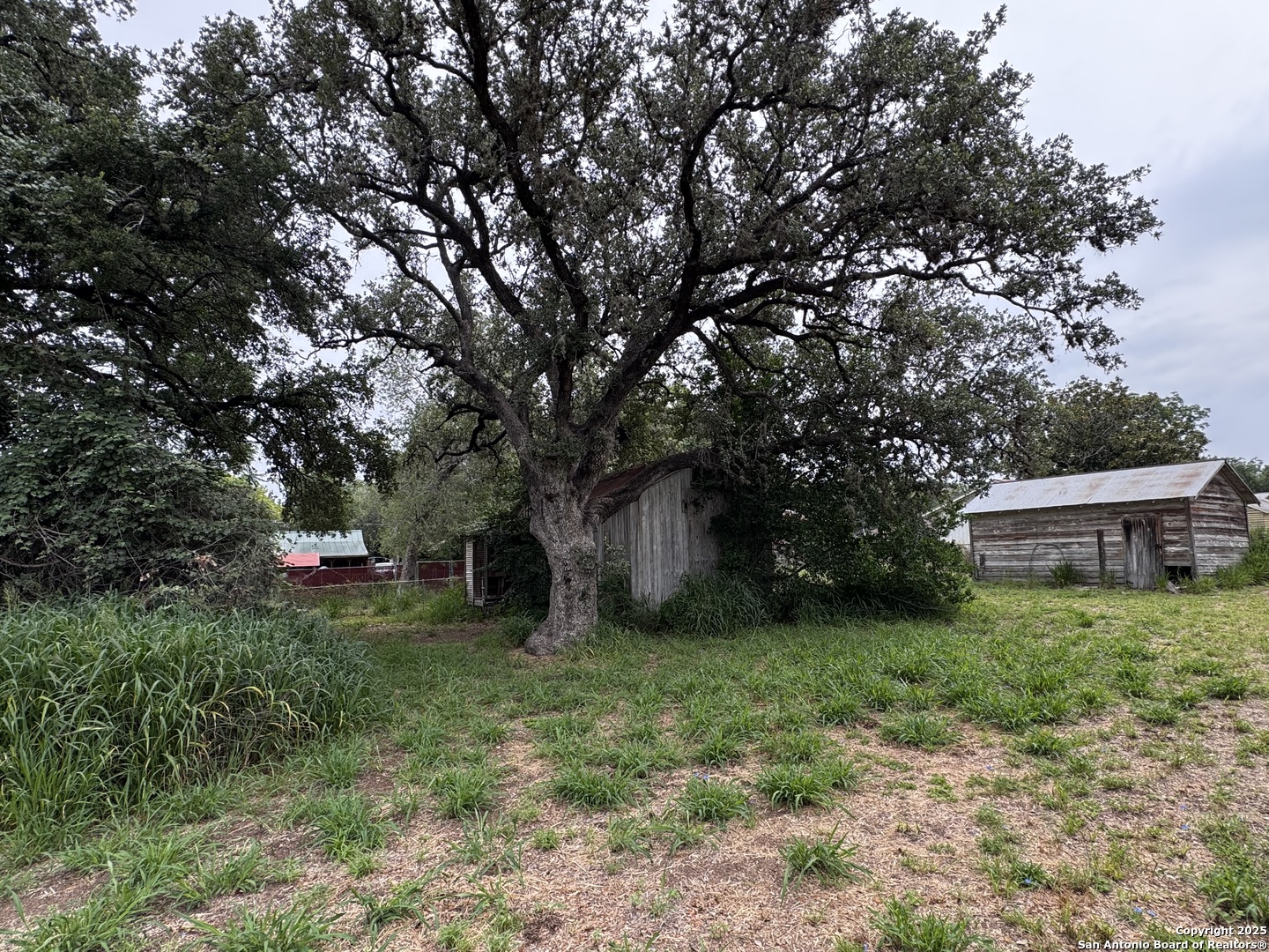 212 Patrick Pleasanton, TX 78064 - Photo 10 of 13 a view of a backyard with large trees