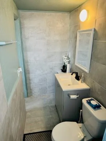 a bathroom with a sink a toilet and shower