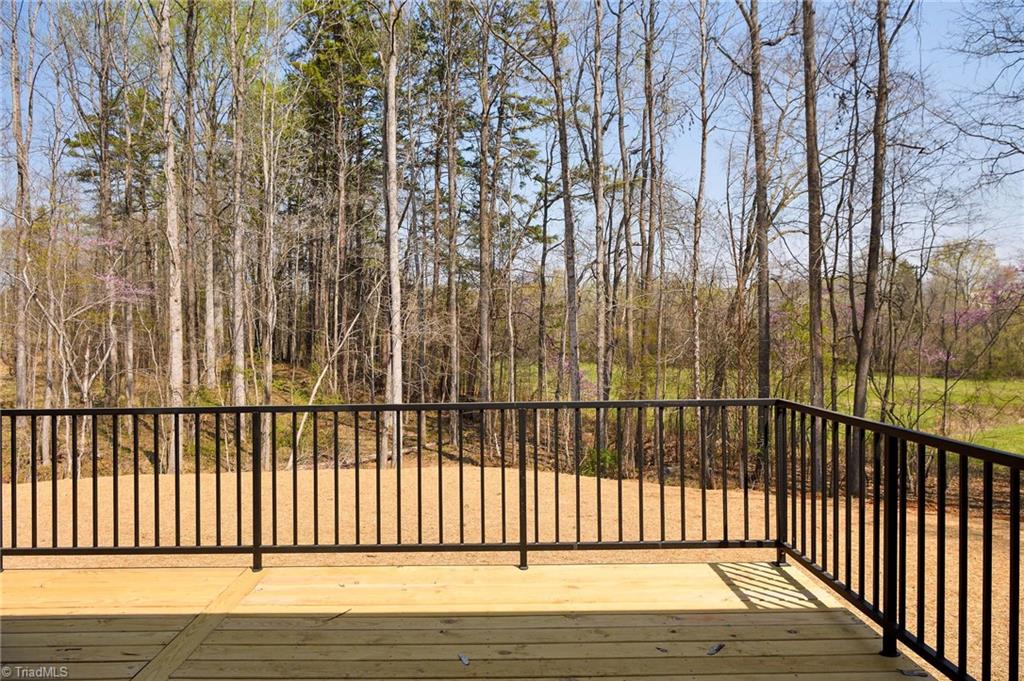 211 Snapdragon Place Lexington, NC 27295 - Photo 25 of 30