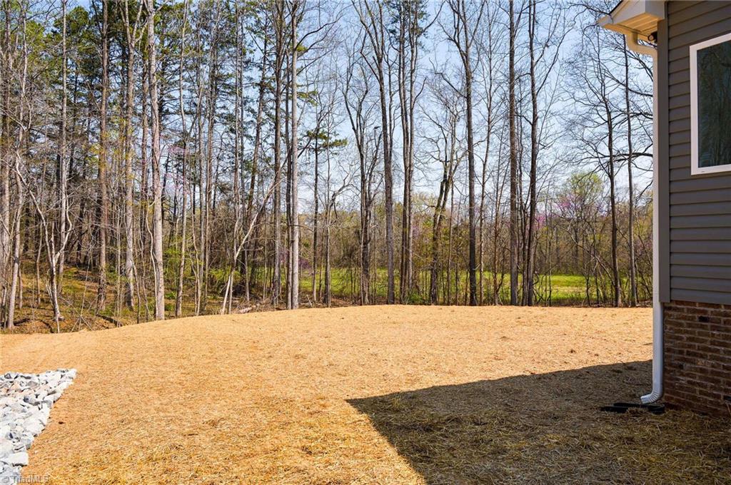 211 Snapdragon Place Lexington, NC 27295 - Photo 30 of 30