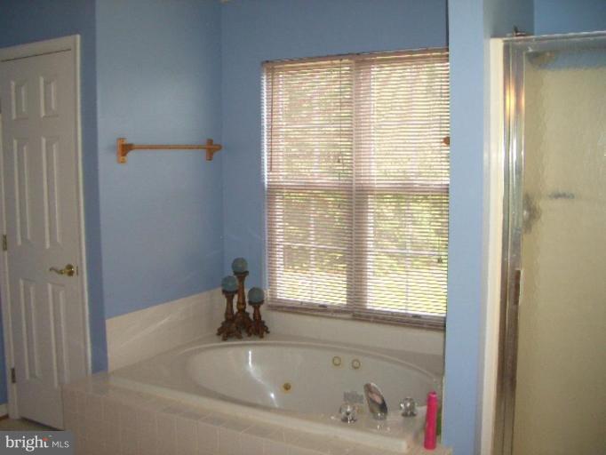 1698 Tisdale Road Louisa, VA 23093 - Photo 15 of 26 Master Bath