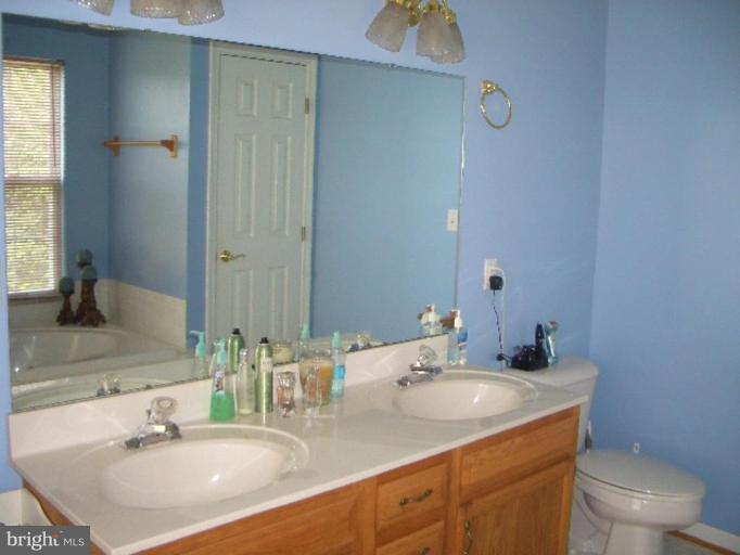 1698 Tisdale Road Louisa, VA 23093 - Photo 16 of 26 Master Bath #2