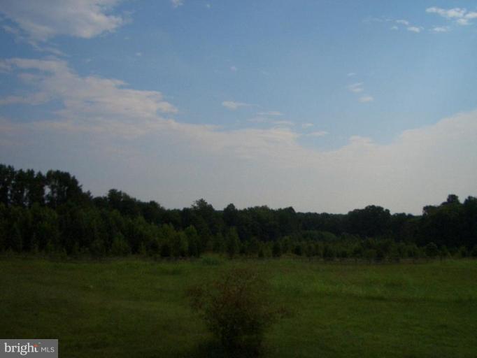 1698 Tisdale Road Louisa, VA 23093 - Photo 25 of 26 Unique #2