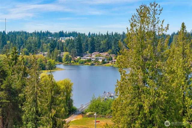 a view of a garden with plants and a fountain
