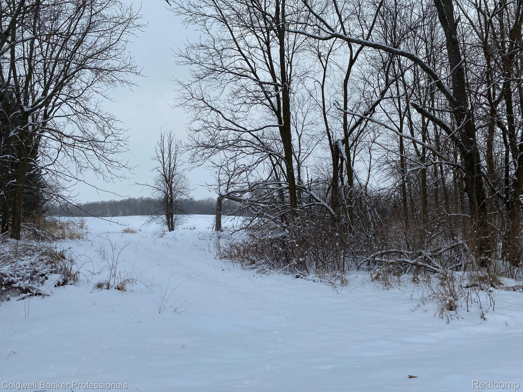 0 Colby Lake Road Haslett, MI 48840 - Photo 5 of 7 5 Colby Lake.jpg