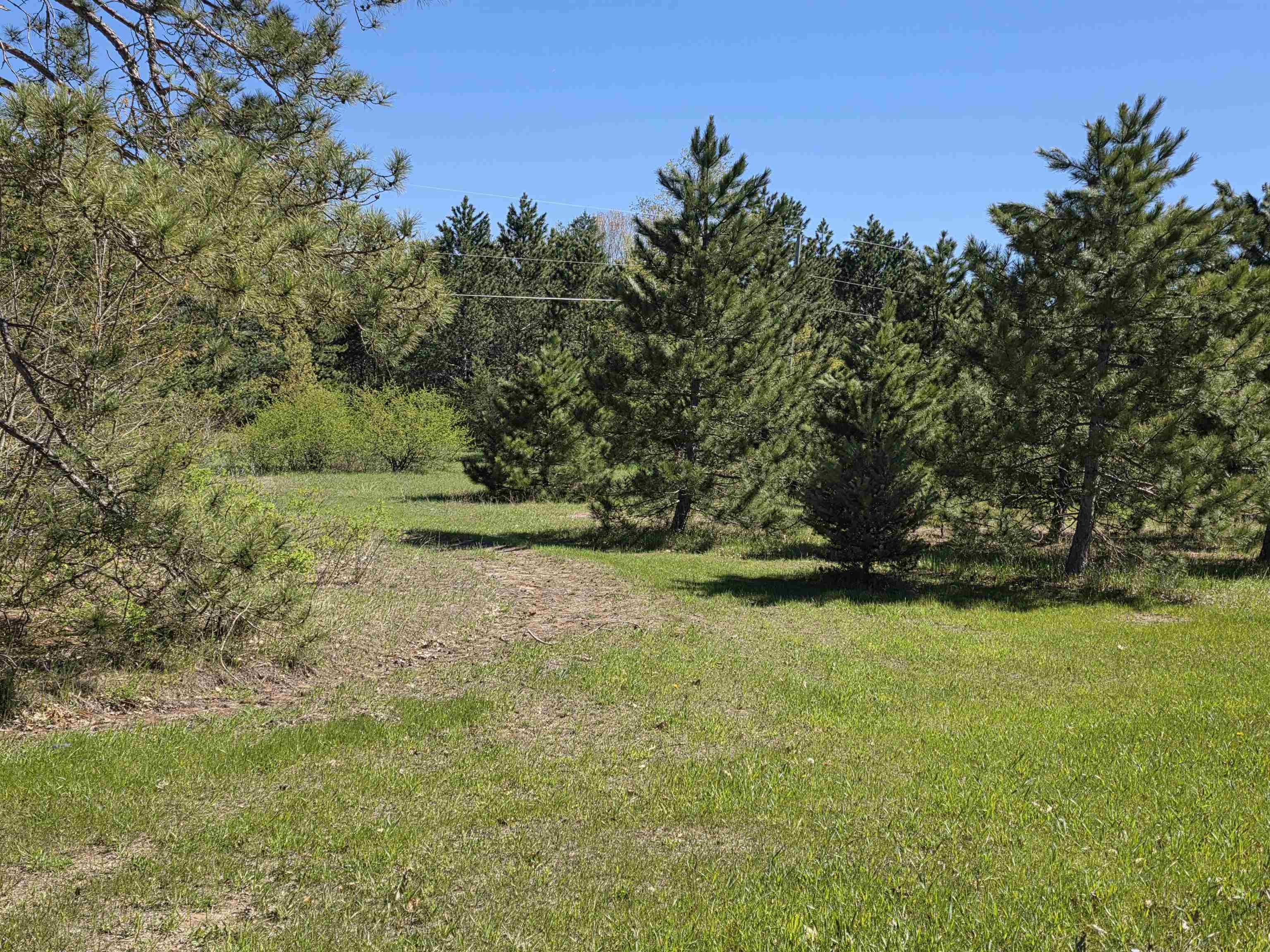Vl 2-acres Arnold Road Manton, MI 49663 - Photo 7 of 15