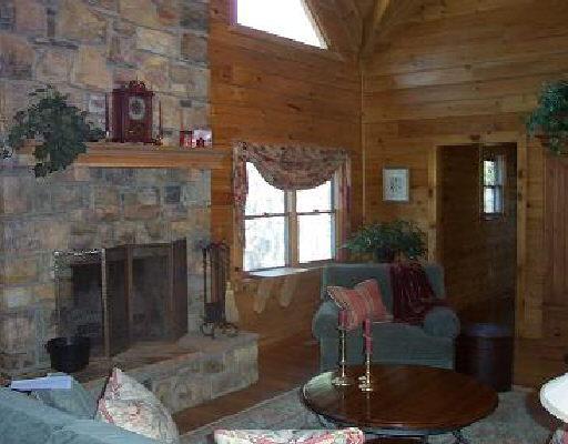 300 Lees Gap Road Fincastle, VA 24090 - Photo 3 of 4 Great Room