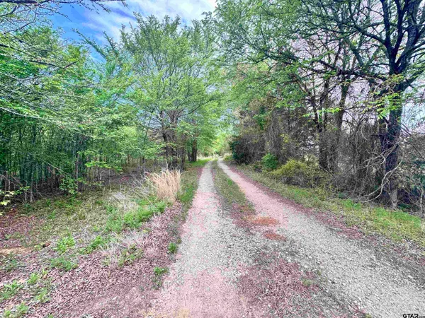 a view of path along with trees