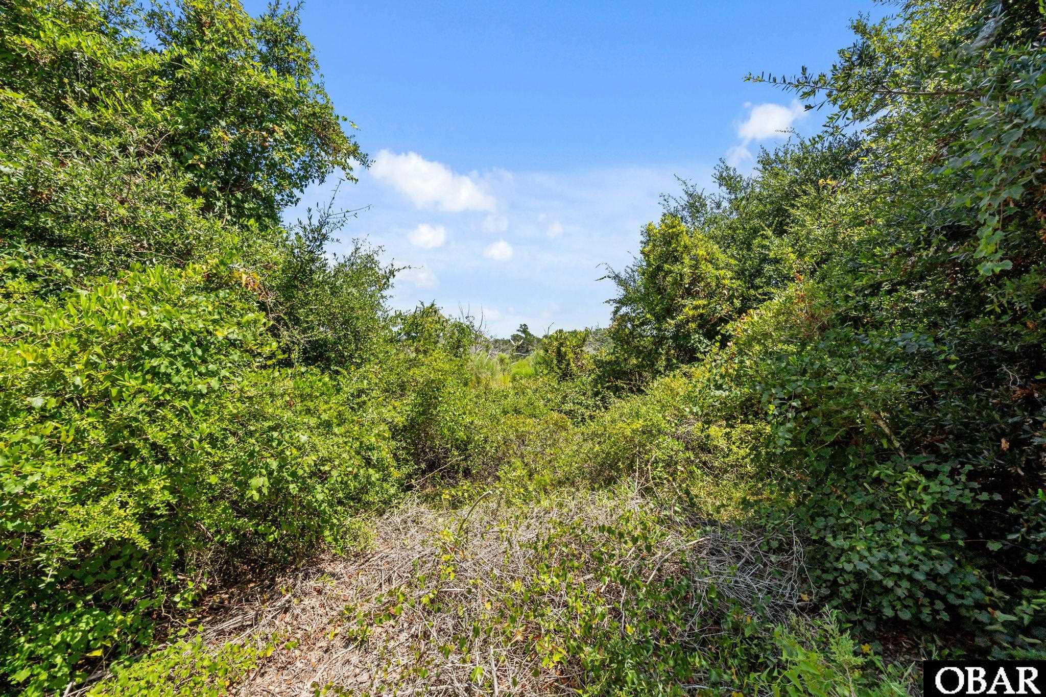 50748 Timber Trail Frisco, NC 27920 - Photo 15 of 16