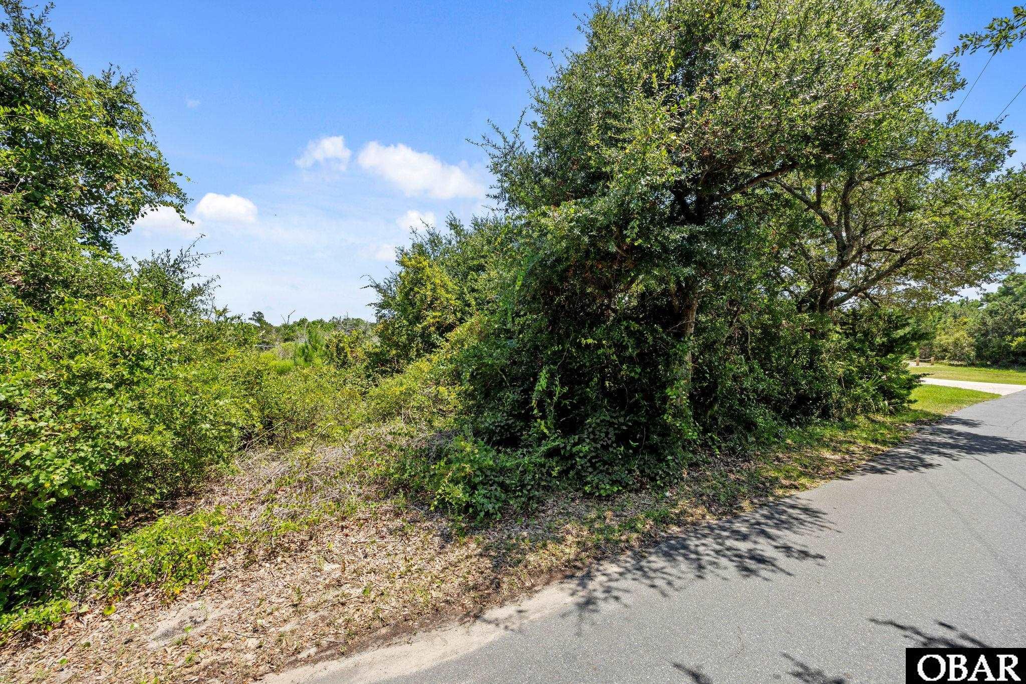 50748 Timber Trail Frisco, NC 27920 - Photo 16 of 16