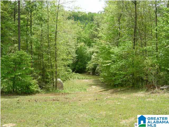 60 Waldrop Road Ashville, AL 35953 - Photo 20 of 23