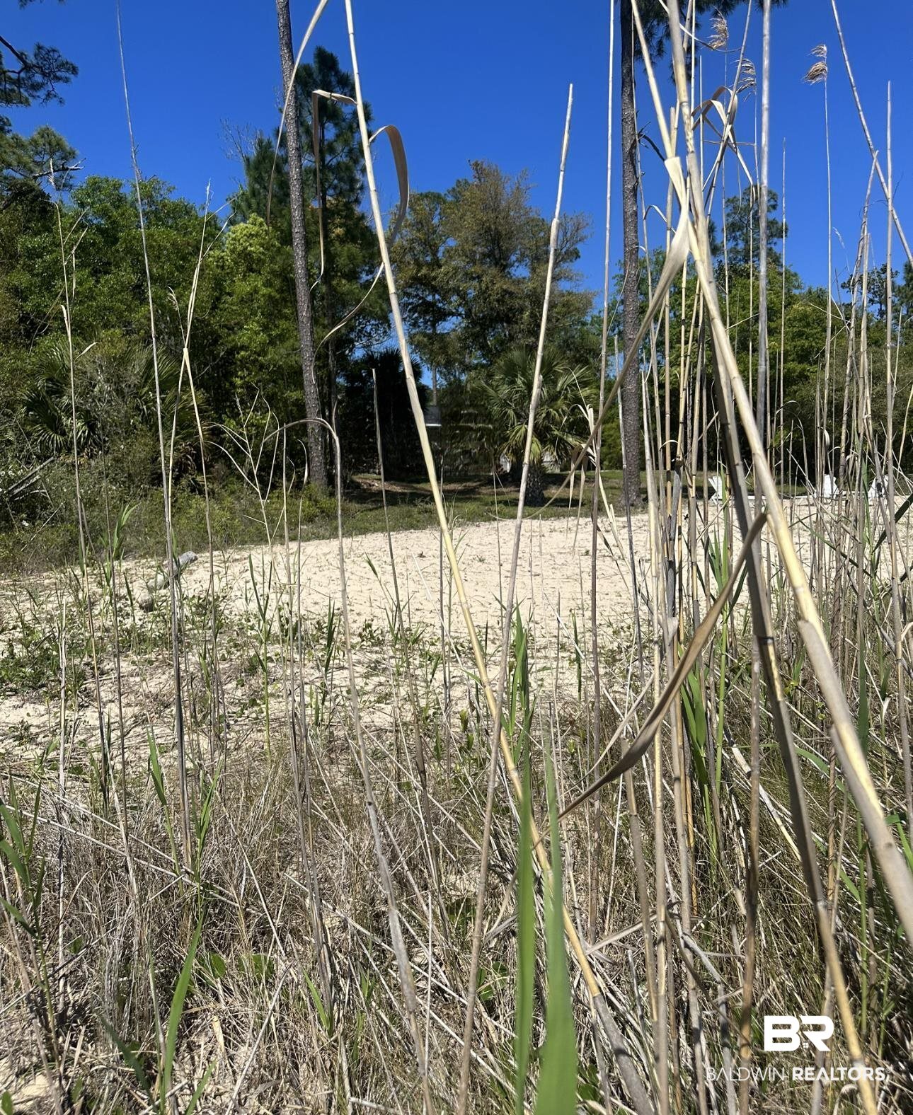 13206 2nd Street Lillian, AL 36549 - Photo 22 of 23
