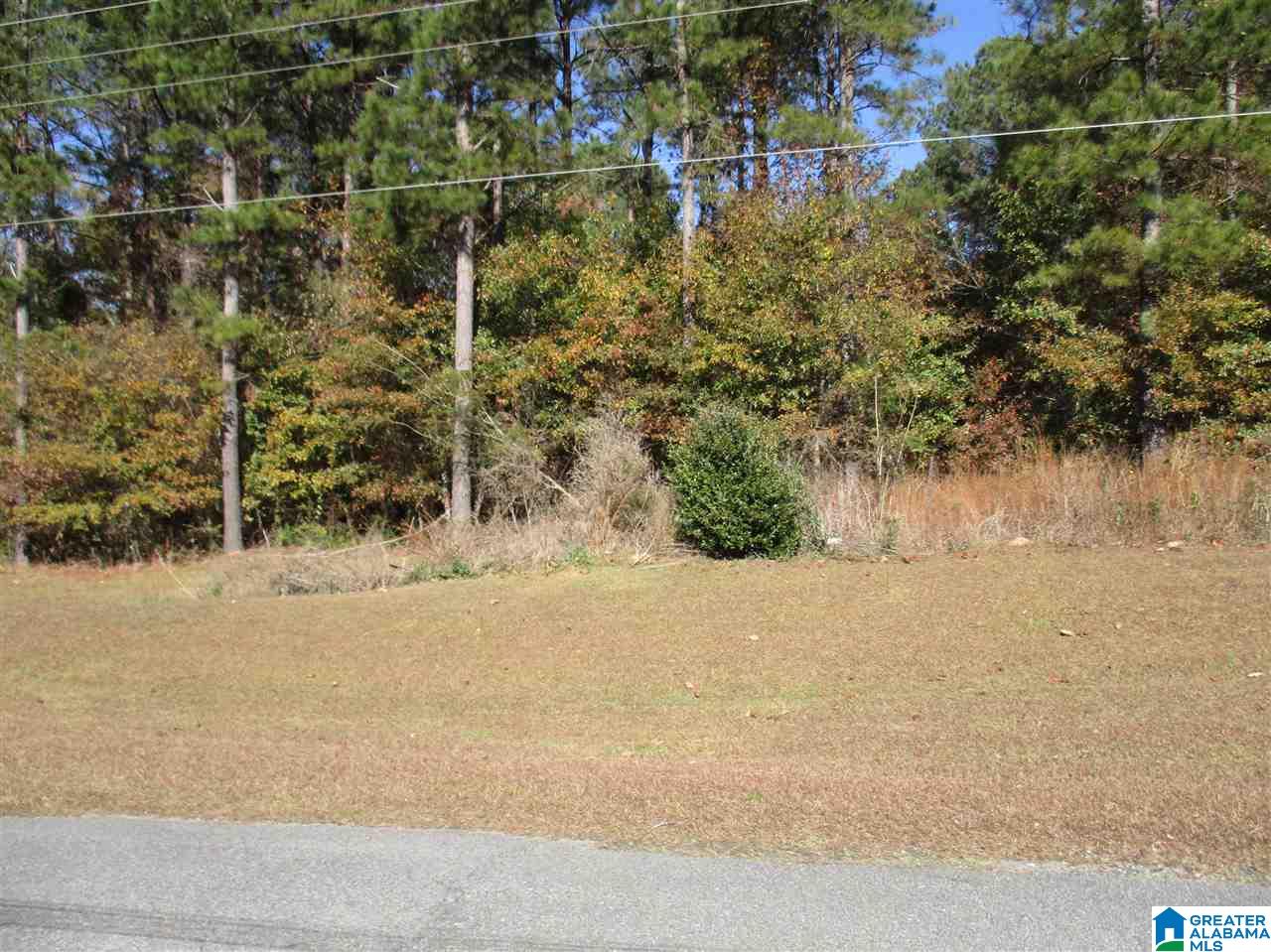 0 Poplar Springs Road, Unit 1 Clanton, AL 35045 - Photo 1 of 4