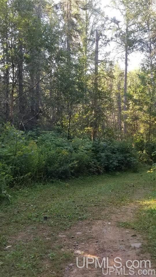 Tbd Fishing Site Road, Unit 1 Amasa, MI 49903 - Photo 4 of 19