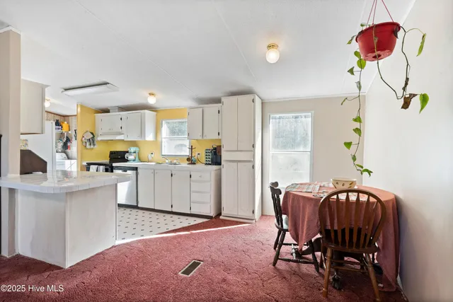 $185,000 | 1224 Highway 11, Willard, NC 28478