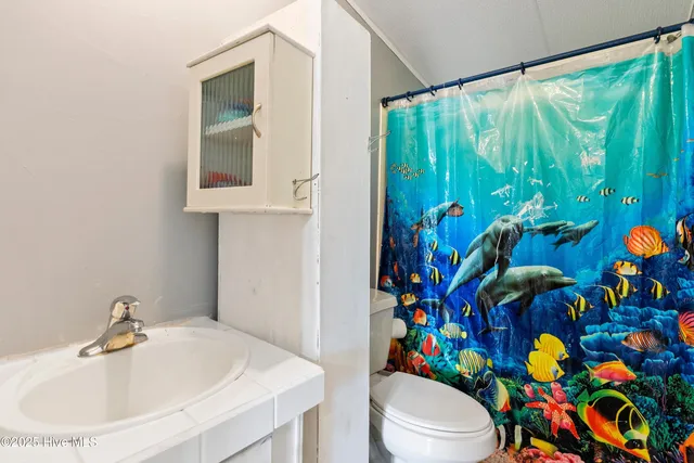 $185,000 | 1224 Highway 11, Willard, NC 28478