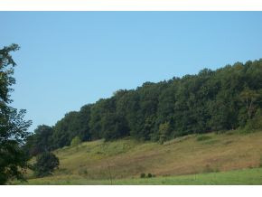2832 Rock Springs Road, Unit 2 Kingsport, TN 37664 - Photo 8 of 8 Hills behind