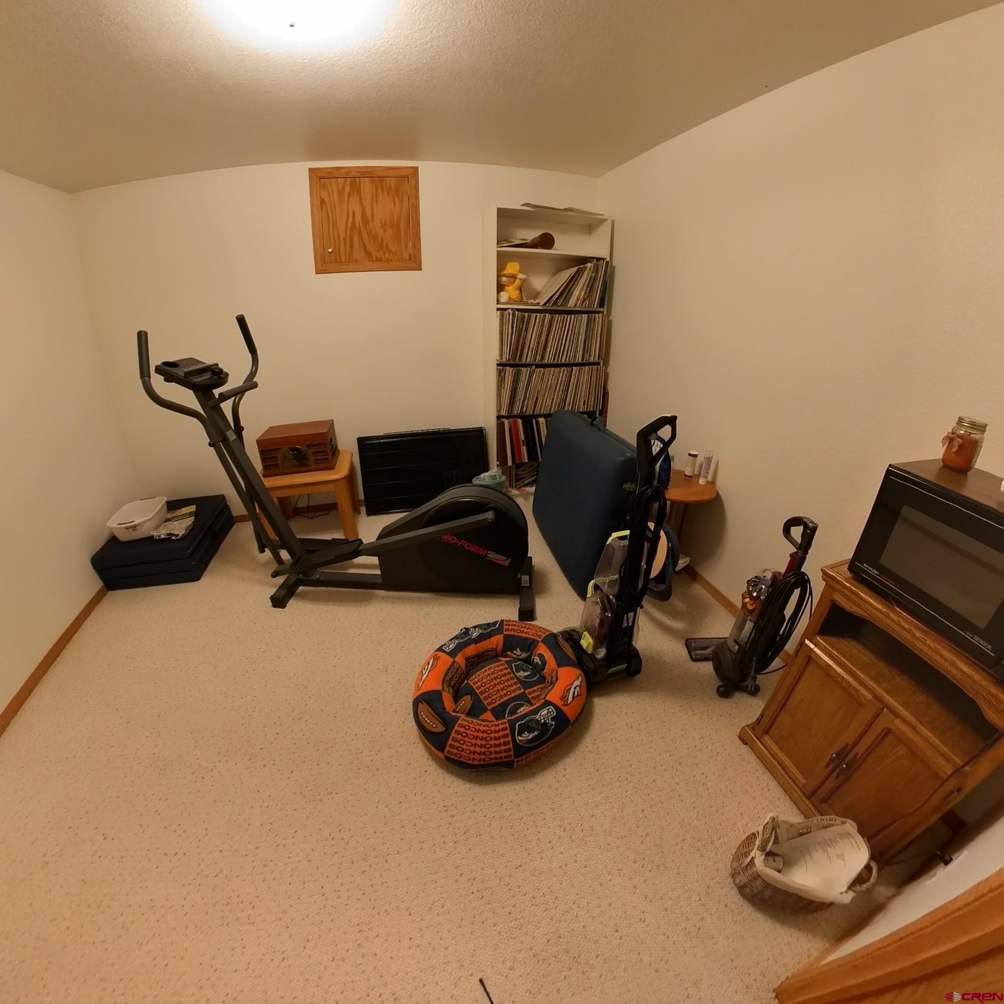 16709 Cedar Lane Cedaredge, CO 81413 - Photo 24 of 35 a room with furniture and gym equipment