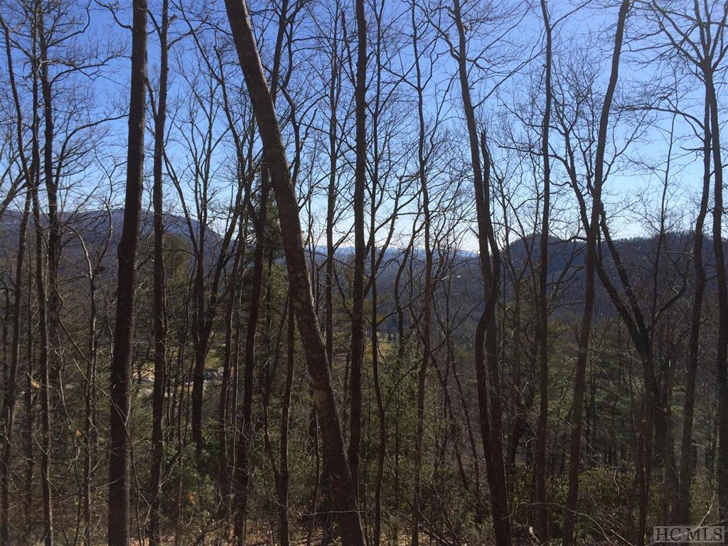 Lot 46 Ledgeview Road Cashiers, NC 28717 - Photo 8 of 10 Gallery Image 8