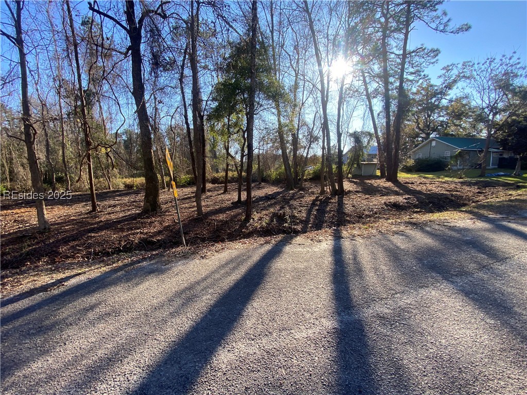 Tbd Tbd Beach Street Ridgeland, SC 29936 - Photo 1 of 1
