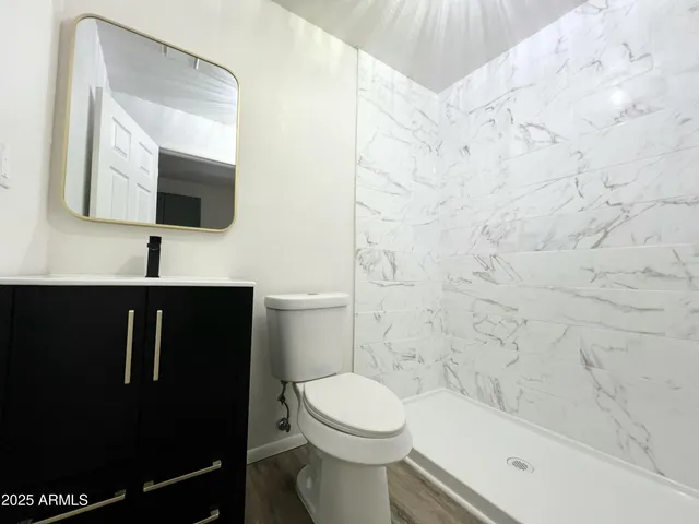 a bathroom with a toilet a sink and mirror