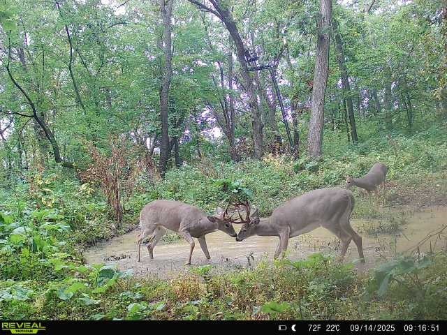 Xx Xx Simons Road Mondovi, WI 54755 - Photo 26 of 45