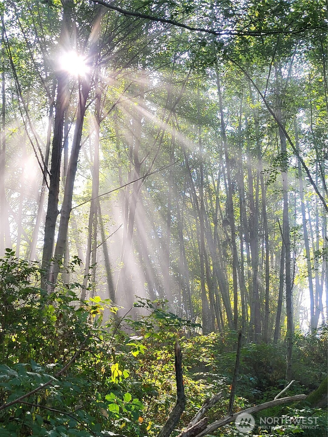 4100 Oakes Avenue Anacortes, WA 98221 - Photo 21 of 22 a backyard of a house with lots of green space