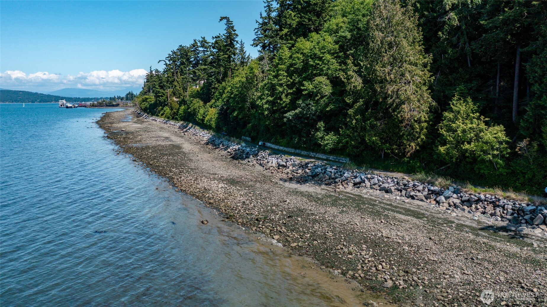 4100 Oakes Avenue Anacortes, WA 98221 - Photo 4 of 22 a view of a street with a trees