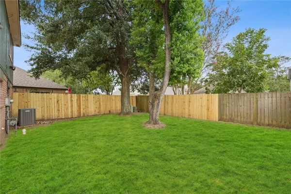 a view of a yard with a large trees