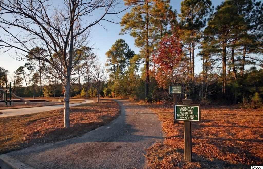 706 Greta Loop Myrtle Beach, SC 29579 - Photo 15 of 23 Gallery Image 15