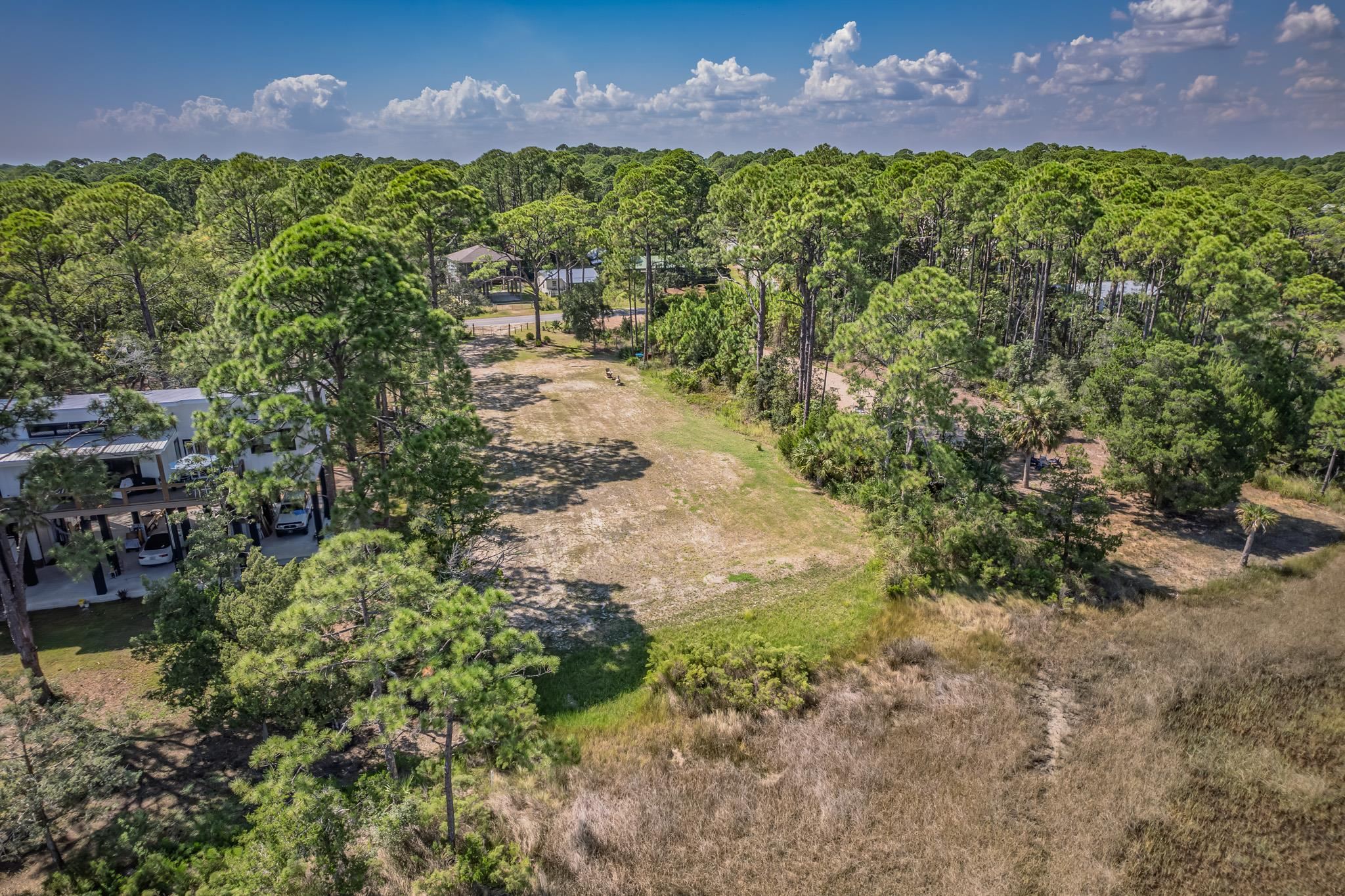 Lot 8 Levy Bay Road Panacea, FL 32346 - Photo 11 of 12