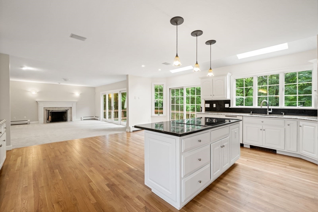 6 Old Harry Road Southborough, MA 01772 - Photo 7 of 30