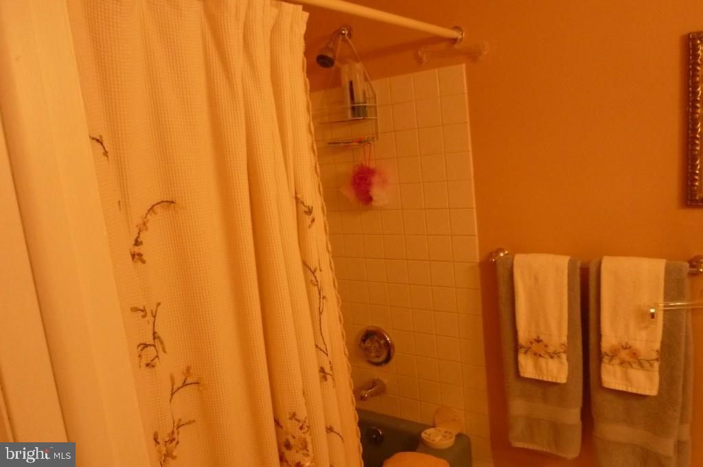 5 Walnut Road Manahawkin, NJ 08050 - Photo 20 of 27