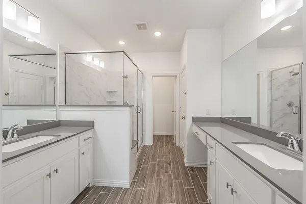 a bathroom with a sink a mirror a vanity and shower